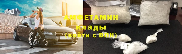 гашик Алексин