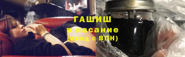 гашик Алексин