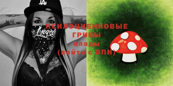 гашик Алексин