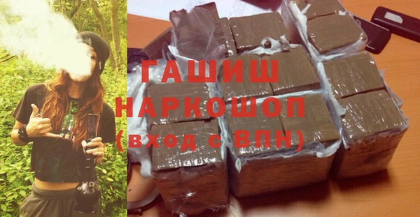 гашик Алексин