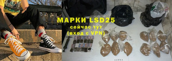 гашик Алексин