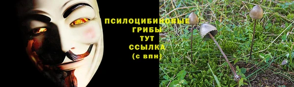 MDMA Алзамай