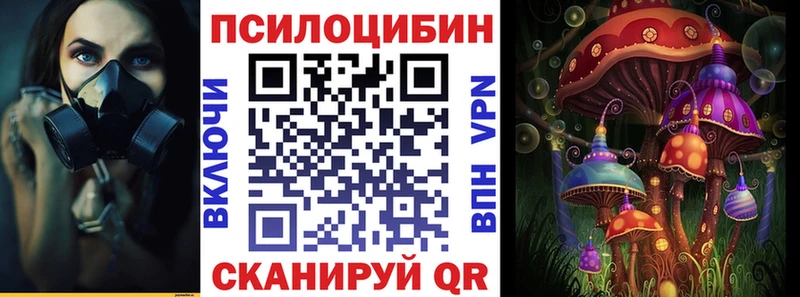 мега вход  Ухта  Псилоцибиновые грибы Cubensis 